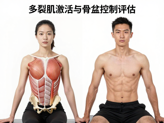 多裂肌激活与骨盆控制评估,科学躯干发力技巧解析