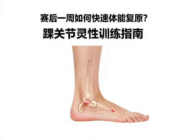 赛后一周如何快速体能复原?踝关节灵活性训练指南