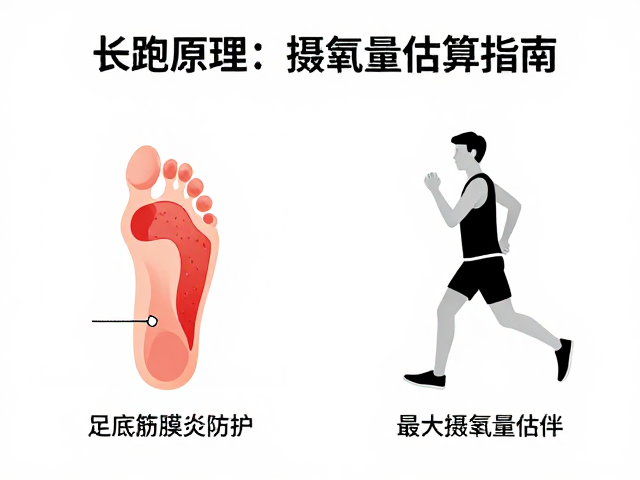 长跑原理,足底筋膜炎防护与最大摄氧量估算指南