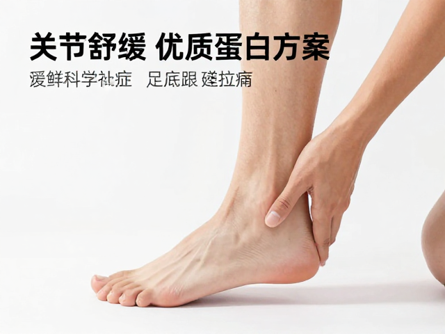 关节舒缓与优质蛋白补充,缓解足底跟腱牵拉痛的科学方案