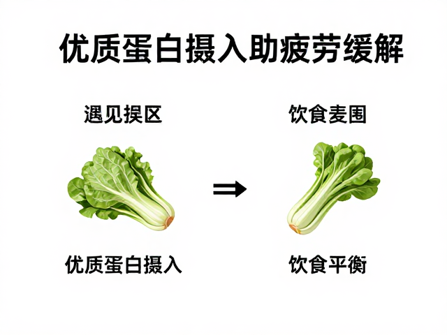 居家自我放松指南,优质蛋白摄入助疲劳缓解