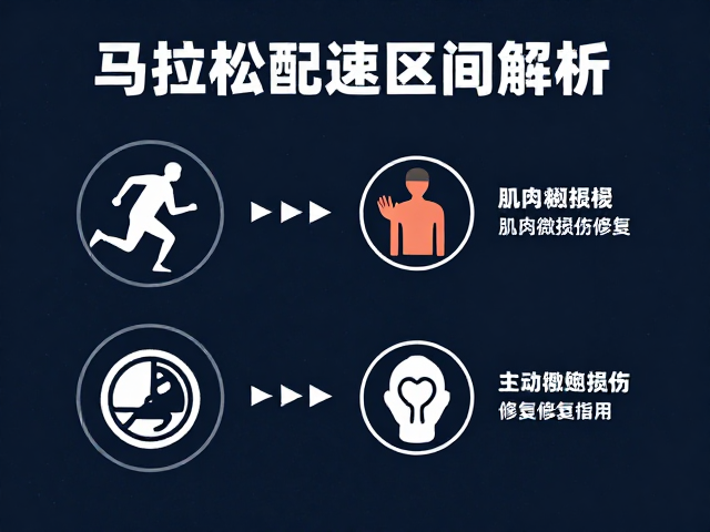 马拉松配速区间解析,长跑机理与肌肉微损伤修复指南