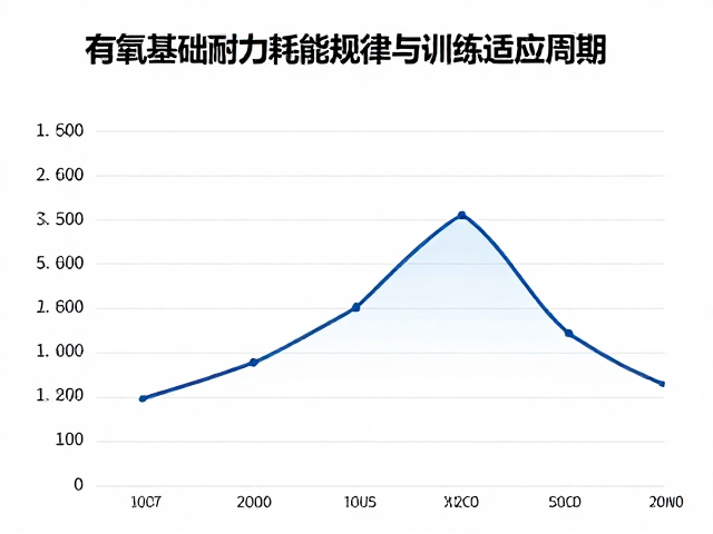 有氧基础耐力耗能规律与训练适应周期,科学提升体能