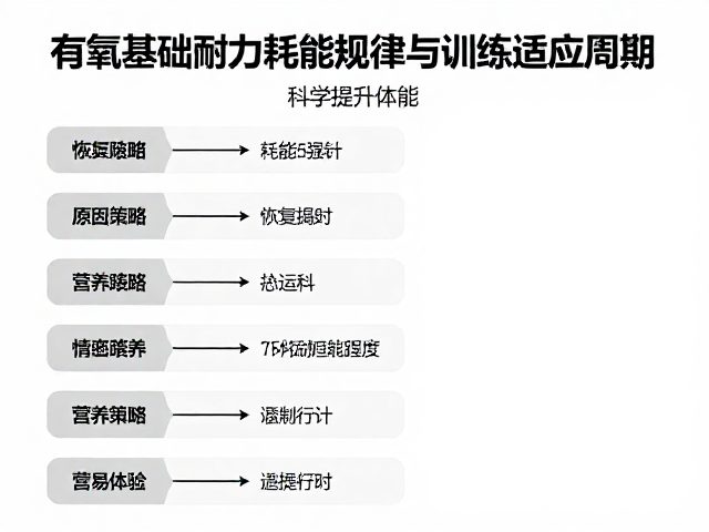 有氧基础耐力耗能规律与训练适应周期,科学提升体能