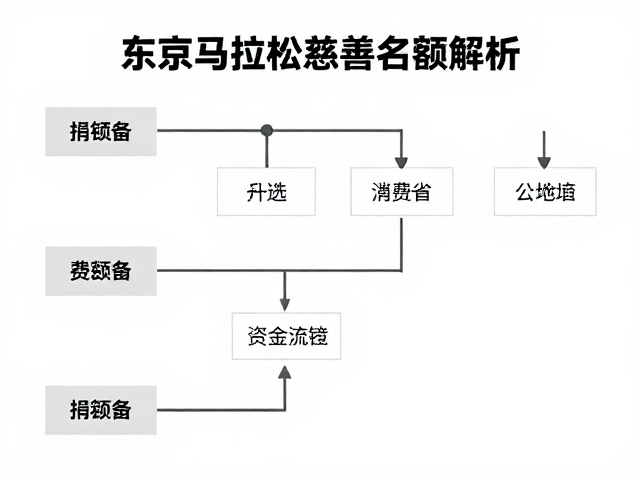 东京马拉松慈善名额解析,赛事传承与公益之旅