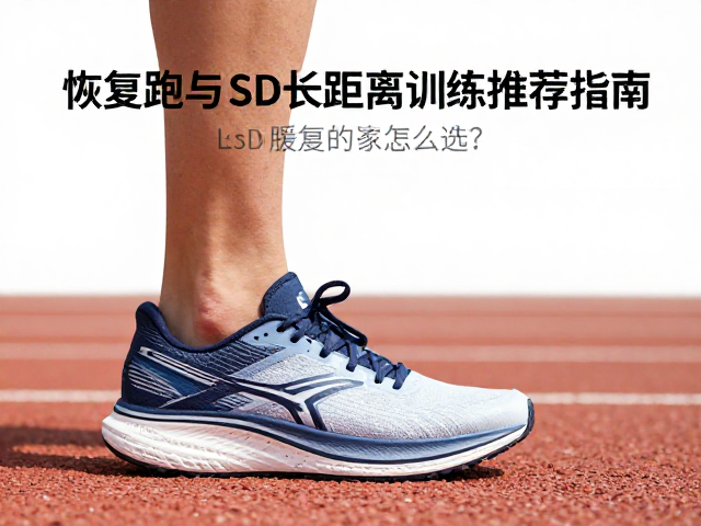 缓震跑鞋怎么选?恢复跑与LSD长距离训练推荐指南