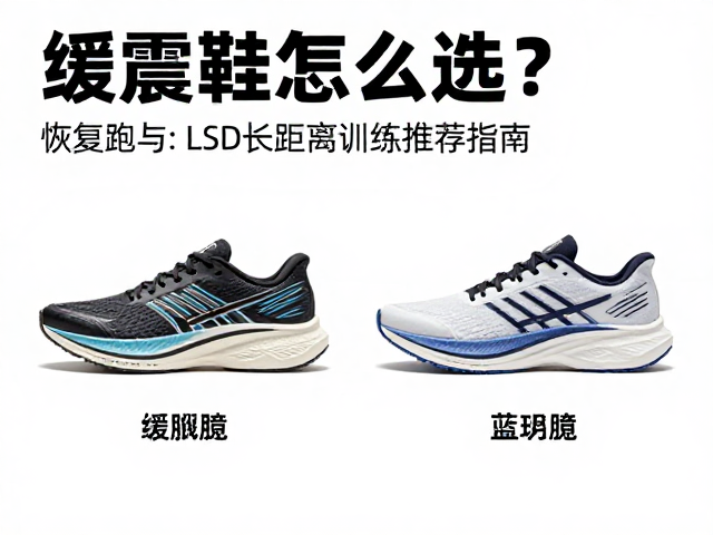 缓震跑鞋怎么选？恢复跑与LSD长距离训练推荐指南
