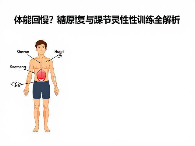 体能回弹慢？糖原恢复与踝关节灵活性训练全解析