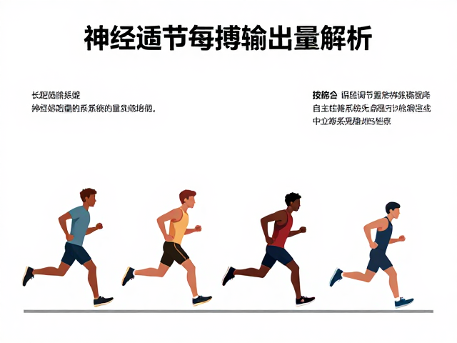 长距离慢跑适应中每搏输出量提升的跑动原理解析