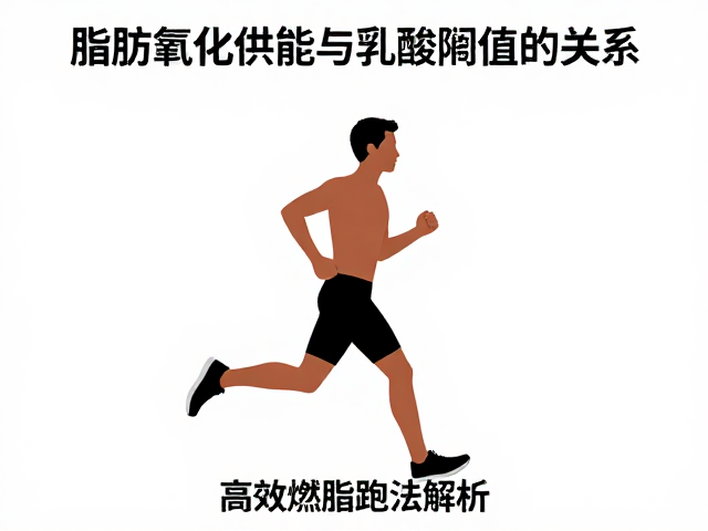 长跑时脂肪氧化供能与乳酸阈值的关系，高效燃脂跑法解析