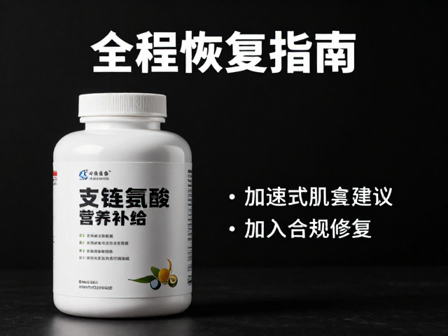 全程恢复指南，支链氨基酸营养补给建议，加速肌肉修复