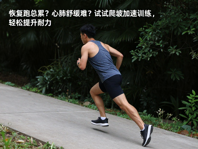恢复跑总累?心肺舒缓难?试试爬坡加速训练,轻松提升耐力