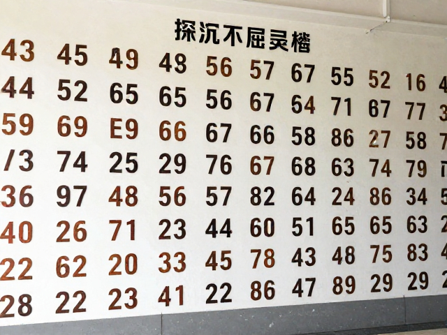 探访冠军墙背后的平凡英雄,经典风貌里的不屈灵魂
