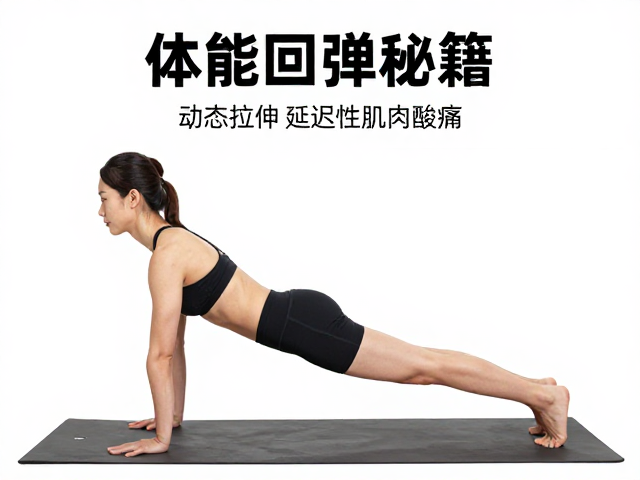 体能回弹秘籍,动态拉伸减少延迟性肌肉酸痛,快速恢复体能