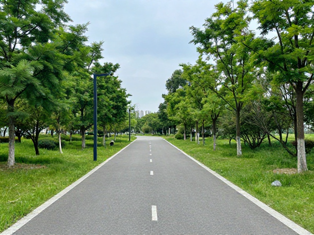 周末休闲健身跑,城市公园绿道精选路线推荐,轻松打卡吸氧好去处