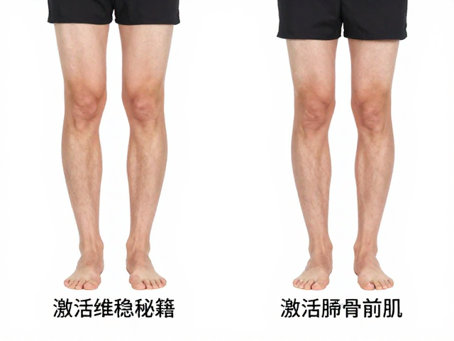 下肢维稳秘籍,激活胫骨前肌,重塑骨盆水平控制力