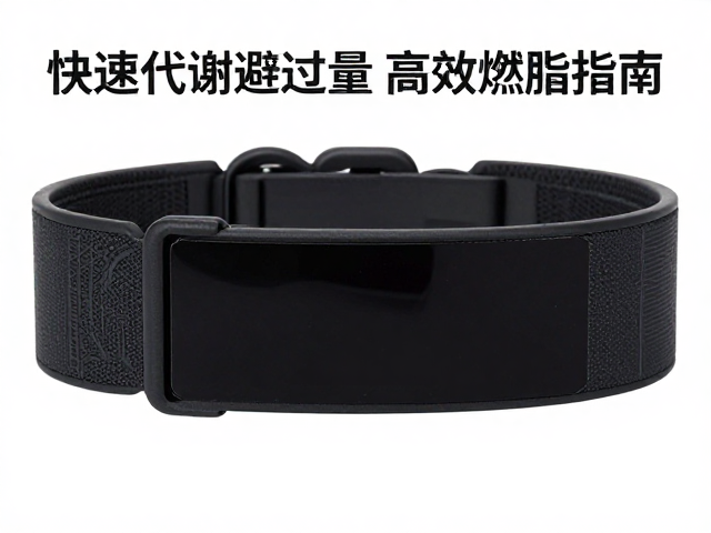 心率带怎么练？快速代谢避过量，高效燃脂指南