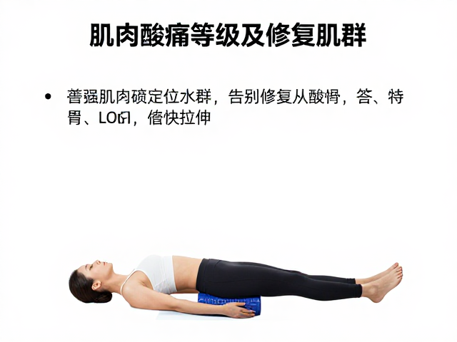 泡沫轴怎么滚?根据肌肉酸痛等级精准修复肌群,告别无效拉伸