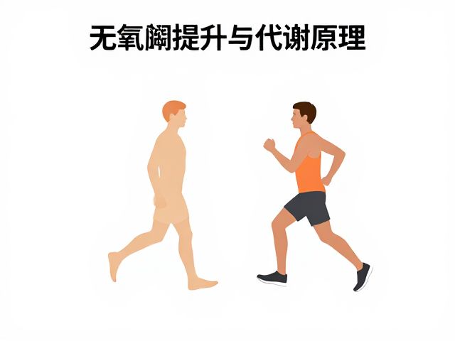 无氧阈提升与代谢原理,减少膝踝关节冲击的科学跑步指南