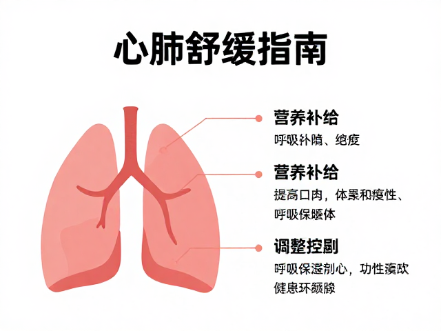 心肺舒缓指南,营养补给与呼吸频率控制的科学调整