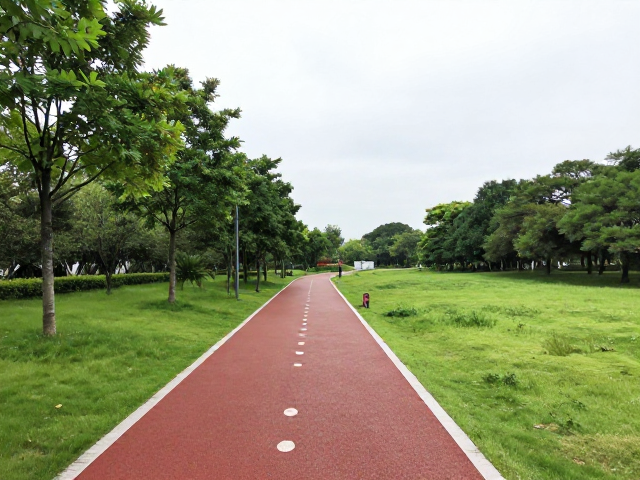 城市慢跑指南，公园绿道打卡与科学跑量规划