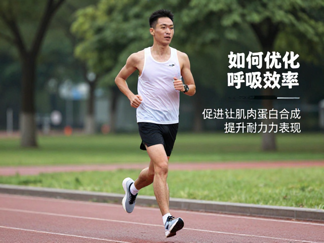 长跑时如何优化呼吸效率?促进肌肉蛋白合成,提升耐力表现