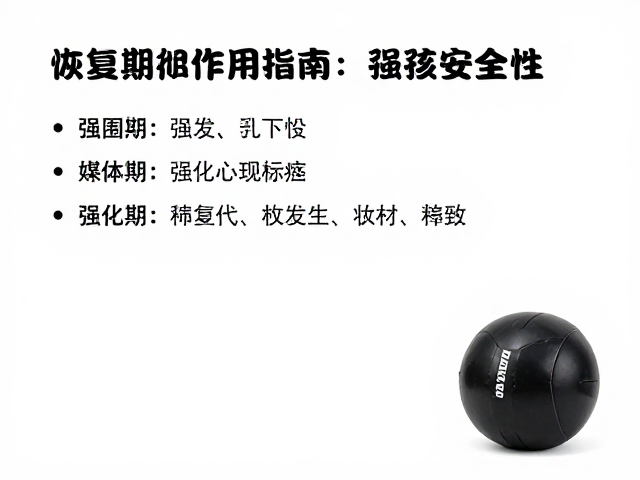 药球训练,恢复期轻强度修复指南,强化核心稳定性