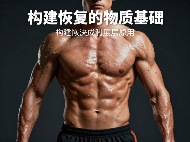 长跑后肌肉蛋白合成与水分平衡,高效恢复的底层原理
