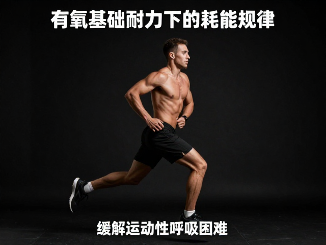 有氧基础耐力下的耗能规律，缓解运动性呼吸困难