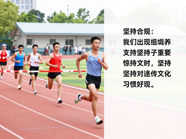 冲线瞬间的生命教育,跑圈文化如何传递坚持与热爱