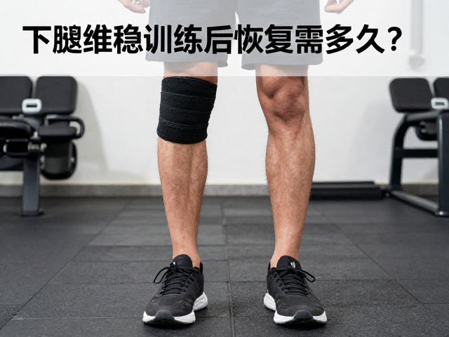 下肢维稳训练后恢复需多久？力量训练频次这样定