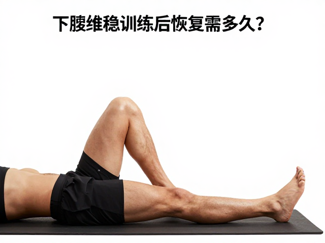 下肢维稳训练后恢复需多久?力量训练频次这样定