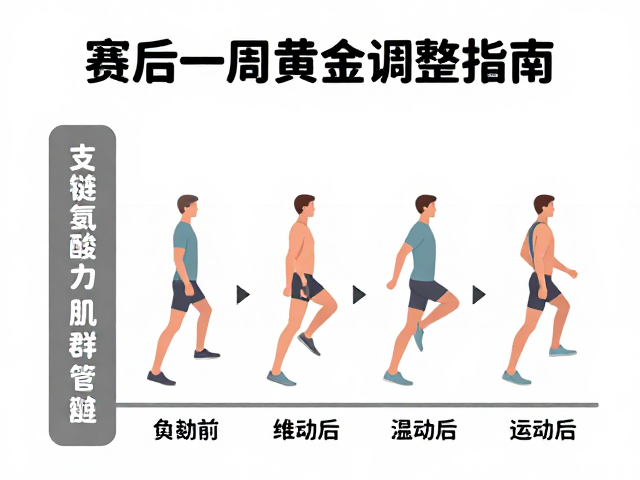支链氨基酸助力肌群修复,赛后一周黄金调整指南