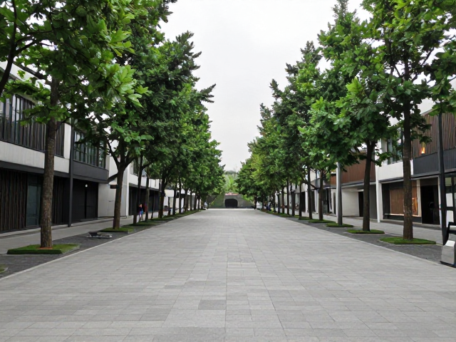 文化延续与空间活化，在公共空间挑战自我，重塑城市活力
