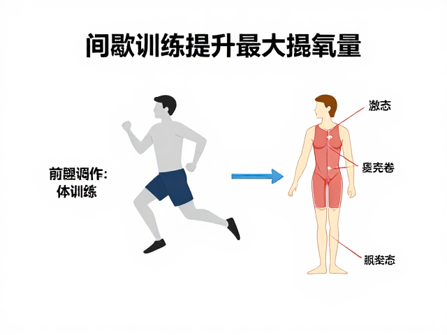间歇训练提升最大摄氧量?赛前调态关键,激活体能极限