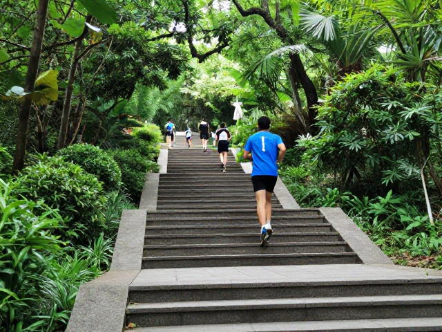 林间跑法与长距离补给,台阶栈道耐力训练全攻略