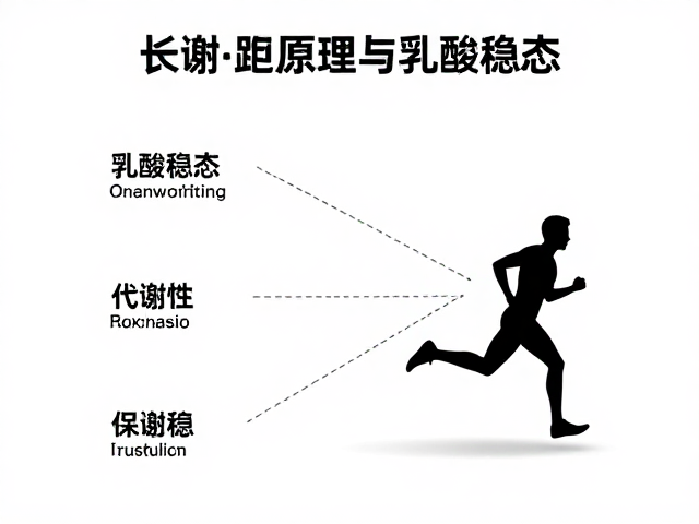 长距离慢跑中的代谢原理与乳酸稳态,科学提升耐力
