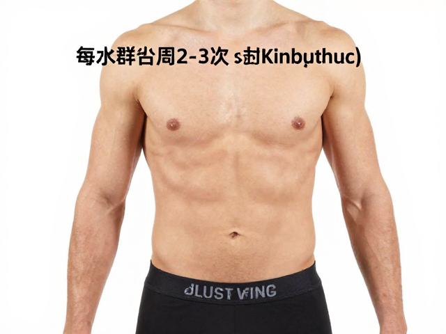 健身房躯干强化指南,每周2-3次高效训练法