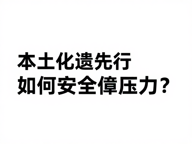 本土化迭代，专业竞技先行，如何化解安全保障压力？