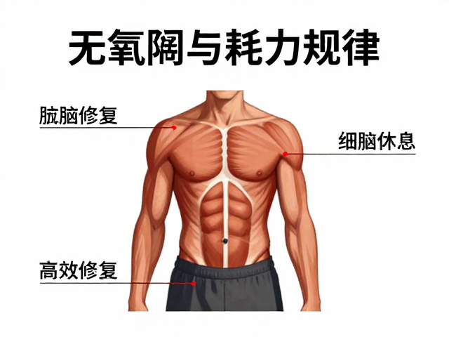 无氧阈与耗能规律,高效肌肉修复的科学训练法