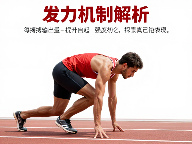 发力机制解析,如何通过每搏输出量提升与起跑强度控制优化运动表现