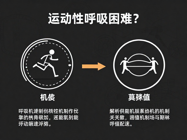 运动性呼吸困难?解析供能机制与阈值配速的关联