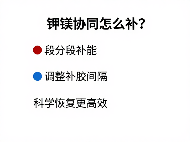钾镁协同怎么补？分段补能，调整补胶间隔，科学恢复更高效