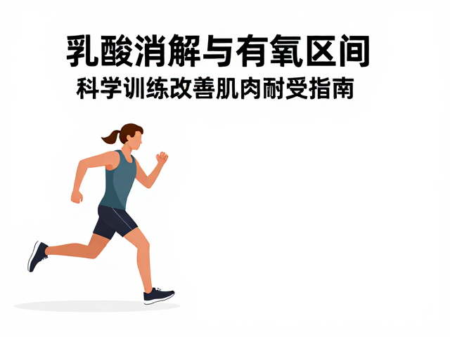 乳酸消解与有氧区间,科学训练改善肌肉耐受力指南