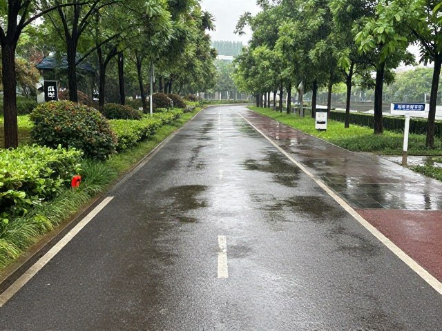 风雨跑法实战,积水清排下的公园绿道赛道安全指南