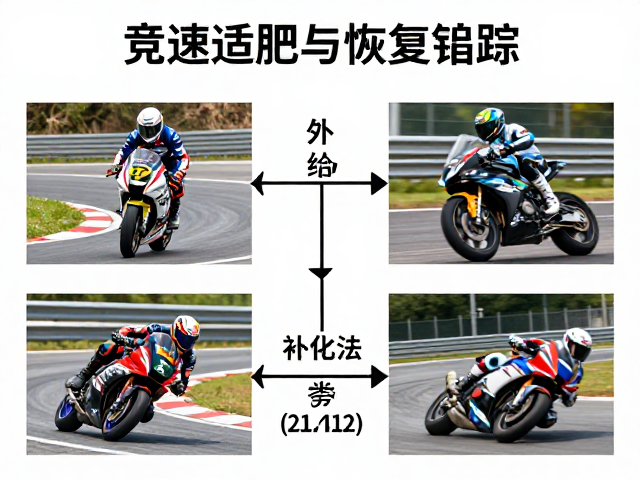 竞速适配与恢复追踪,如何利用补给点提速调整优化赛况