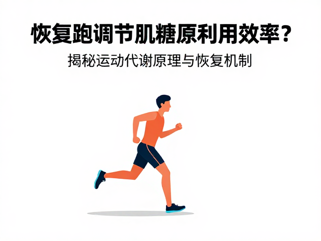 恢复跑调节肌糖原利用效率?揭秘运动代谢原理与恢复机制