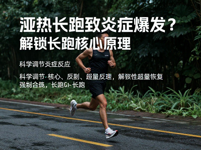 湿热长跑致炎症爆发？科学调节炎症反应，解锁长跑核心原理