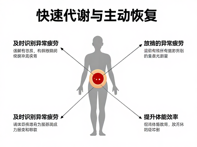 快速代谢与主动恢复，及时识别异常疲劳，提升体能效率