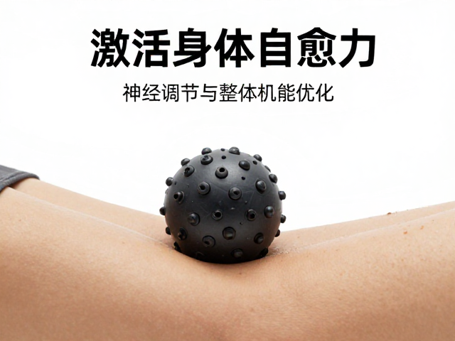 筋膜球放松,超量恢复,高效体能复原,激活身体自愈力